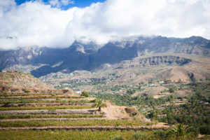 The best weather in the Gran Canaria for a wine tasting