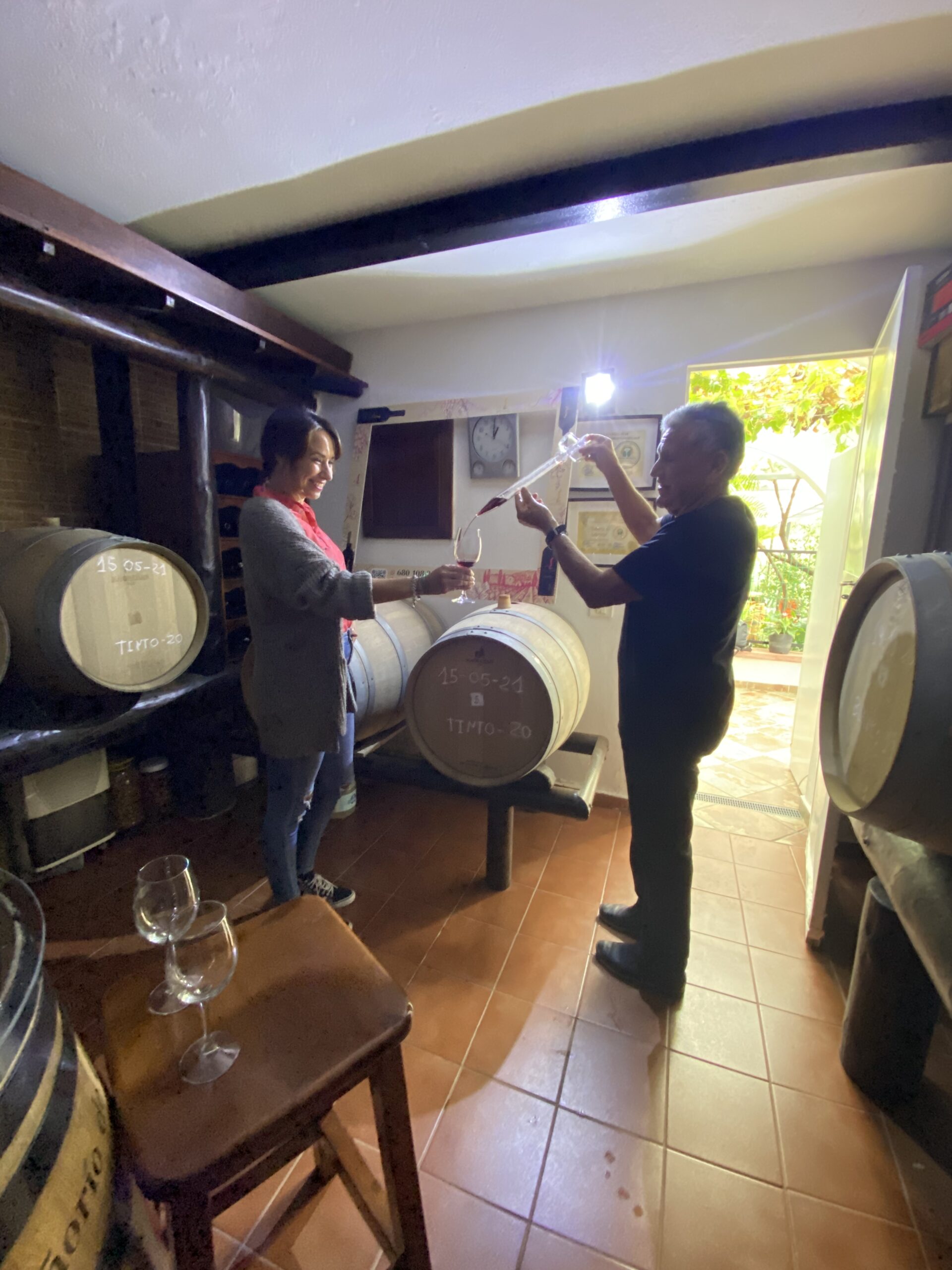 gran canaria private tours