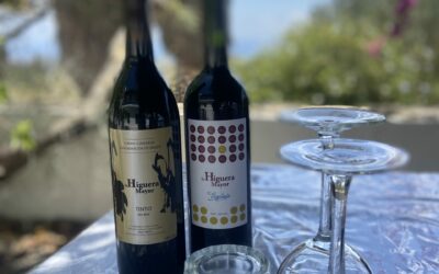 Wine Tour Experience Gran Canaria: Bottle Your Own Wine
