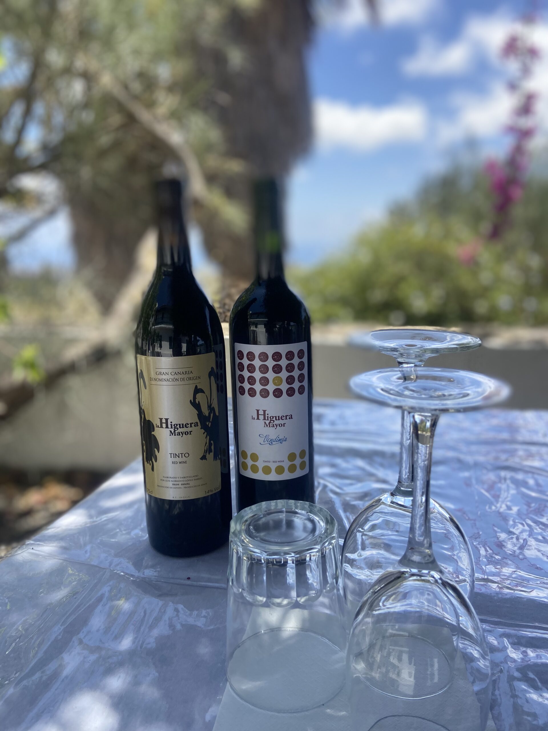 gran canaria wine tasting