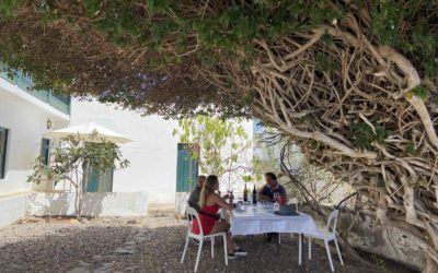 Wine tourism in Gran Canaria