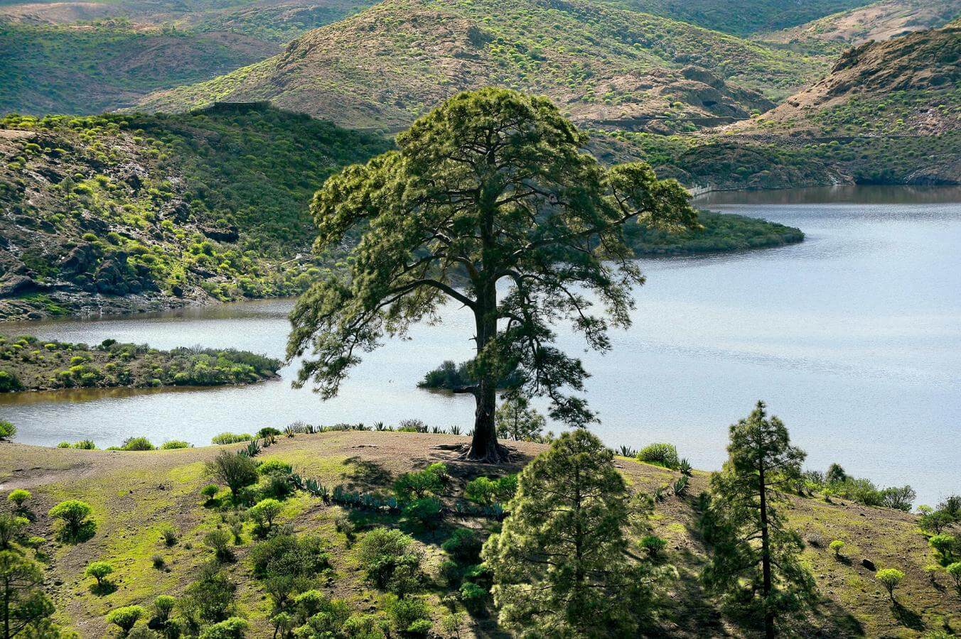 Hiking in Gran Canaria