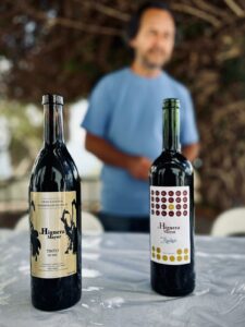 private tours in gran canaria