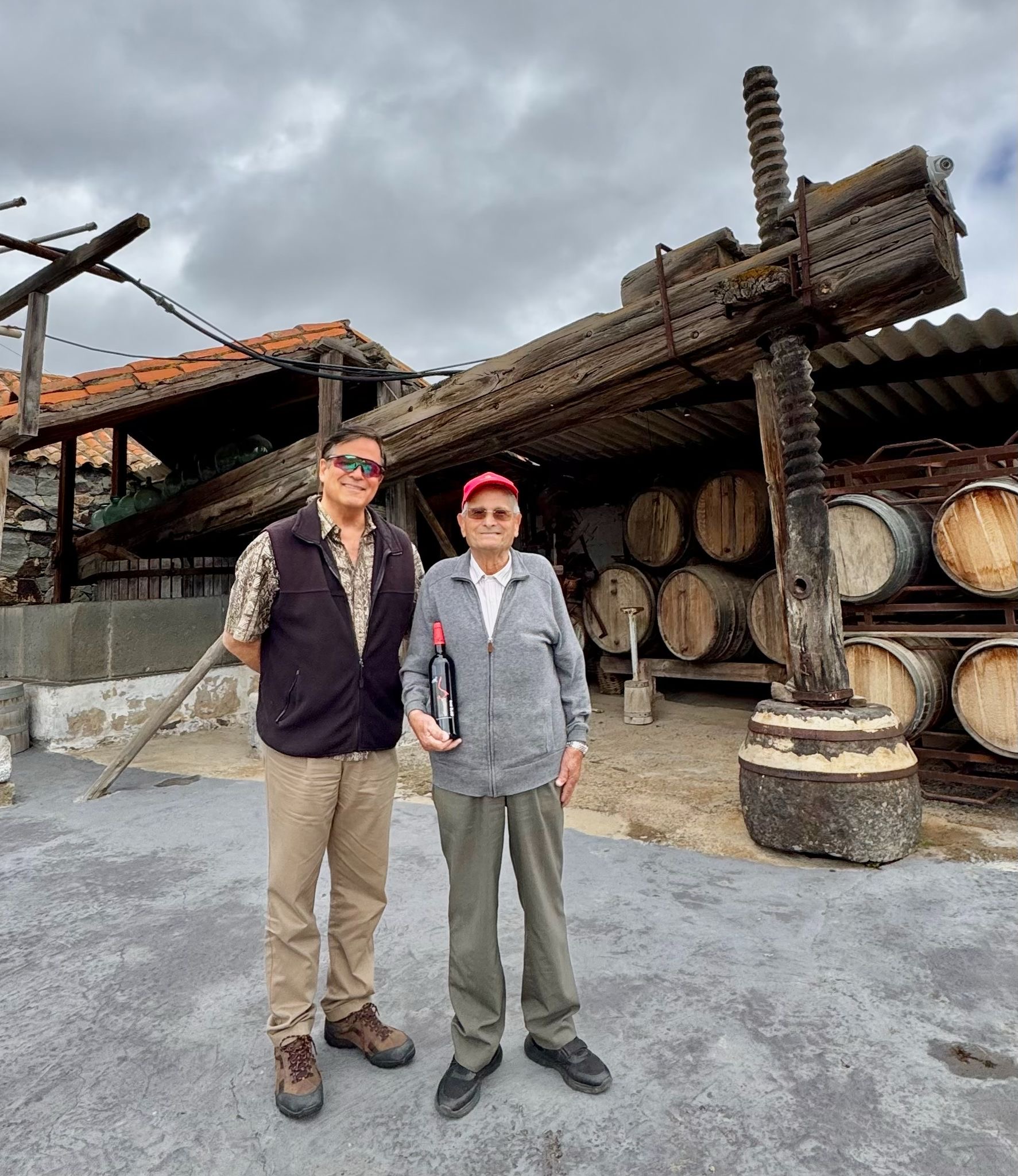 gran canaria wineries vineyard local producers