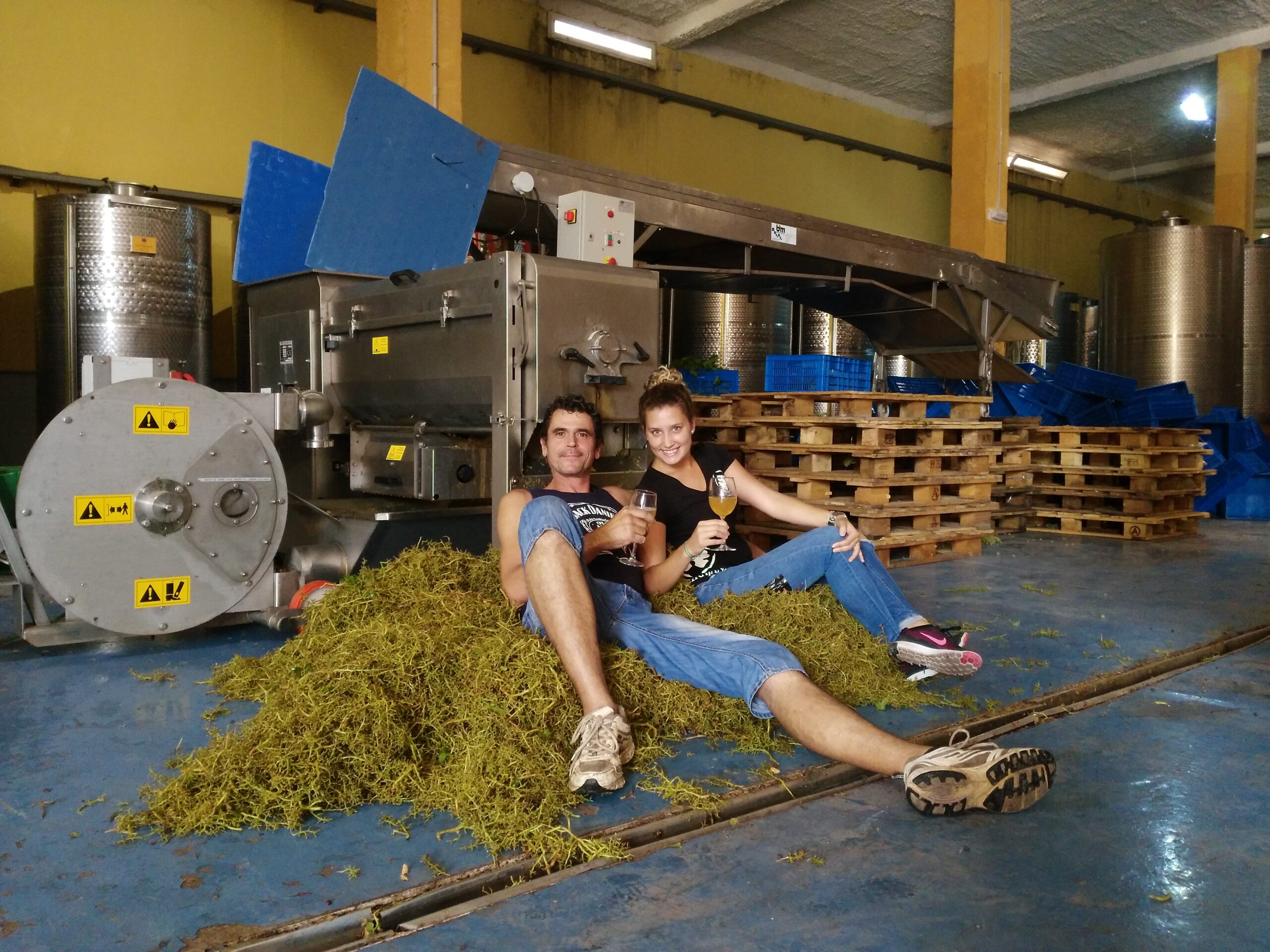 unique gran canaria wine experience