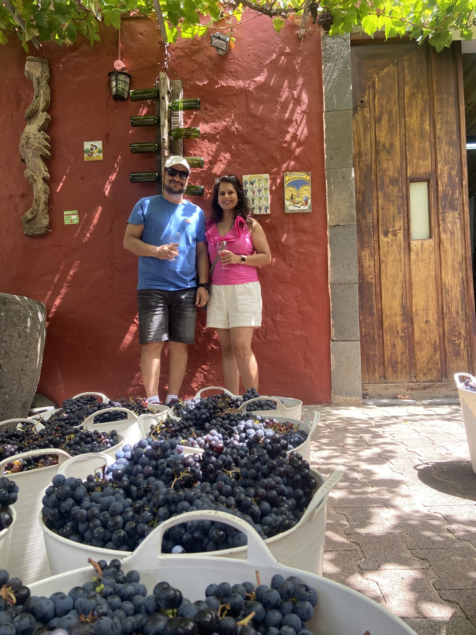 Vinsmaking i Gran Canaria