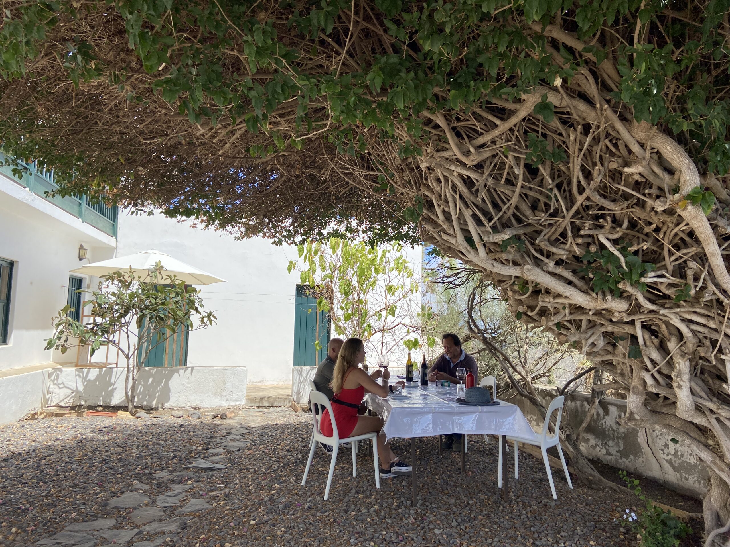 Volcanic wine landscape in Gran Canaria with vineyards, mountain villages and scenic views
