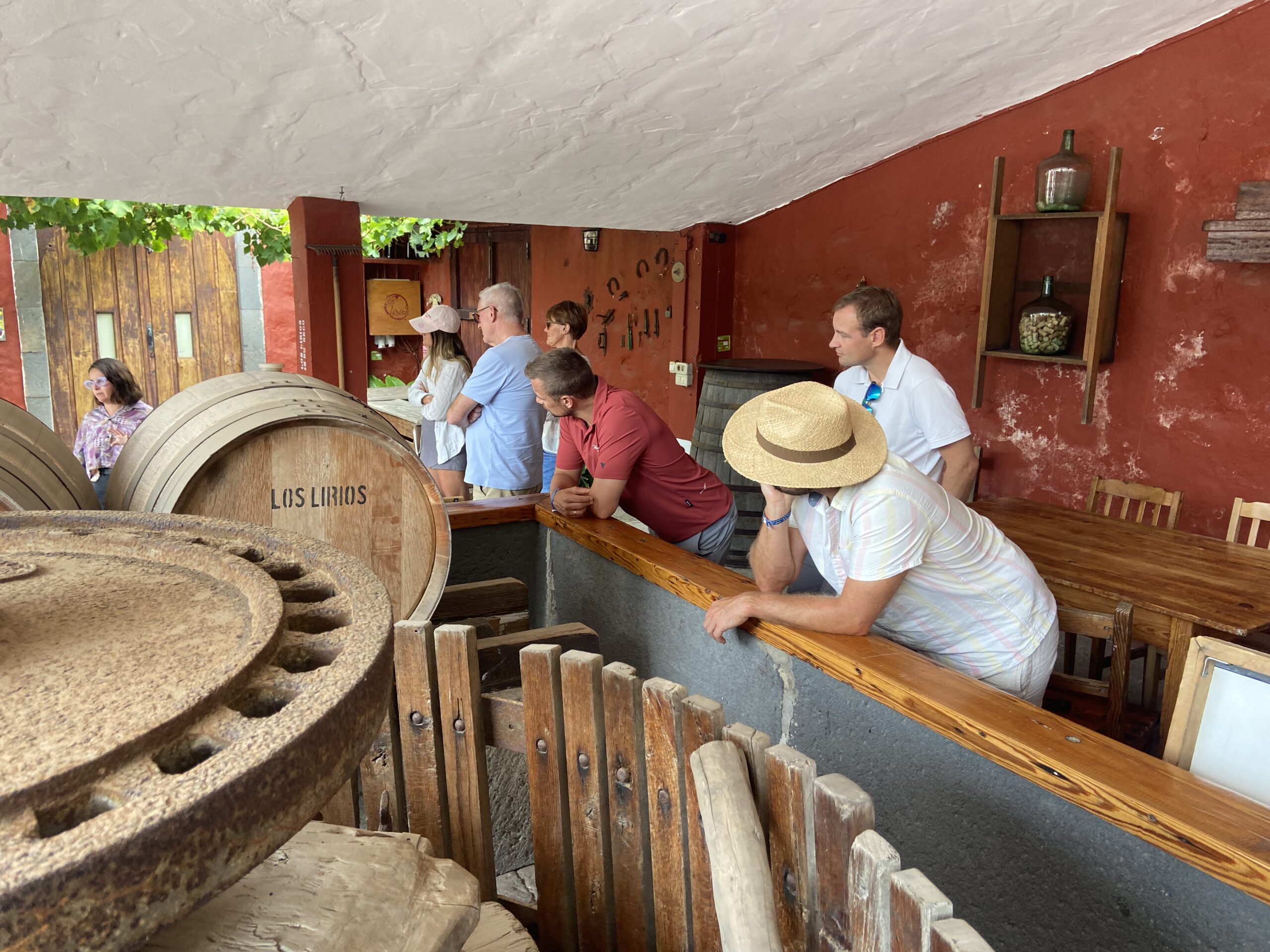 Team experience among vineyards in Gran Canaria — private and tailored