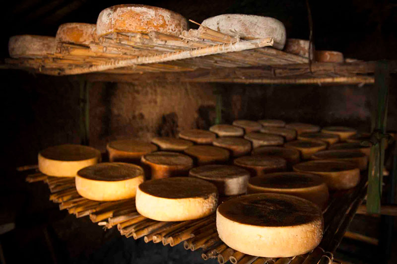 Cheeses of Gran Canaria