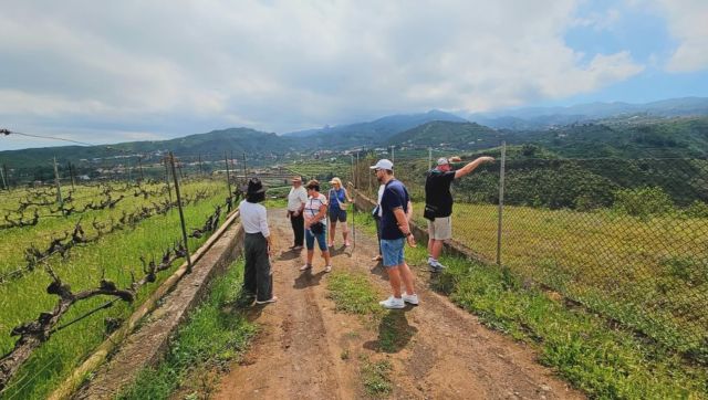 Another wine joy. 
Exclusive wineries 
Amazing winemakers 
Ready to book?? #grancanariawinetourism