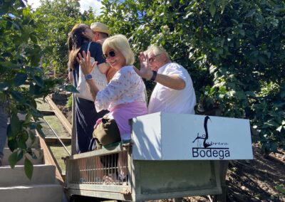 wine tasting and volcanic wines in gran canaria