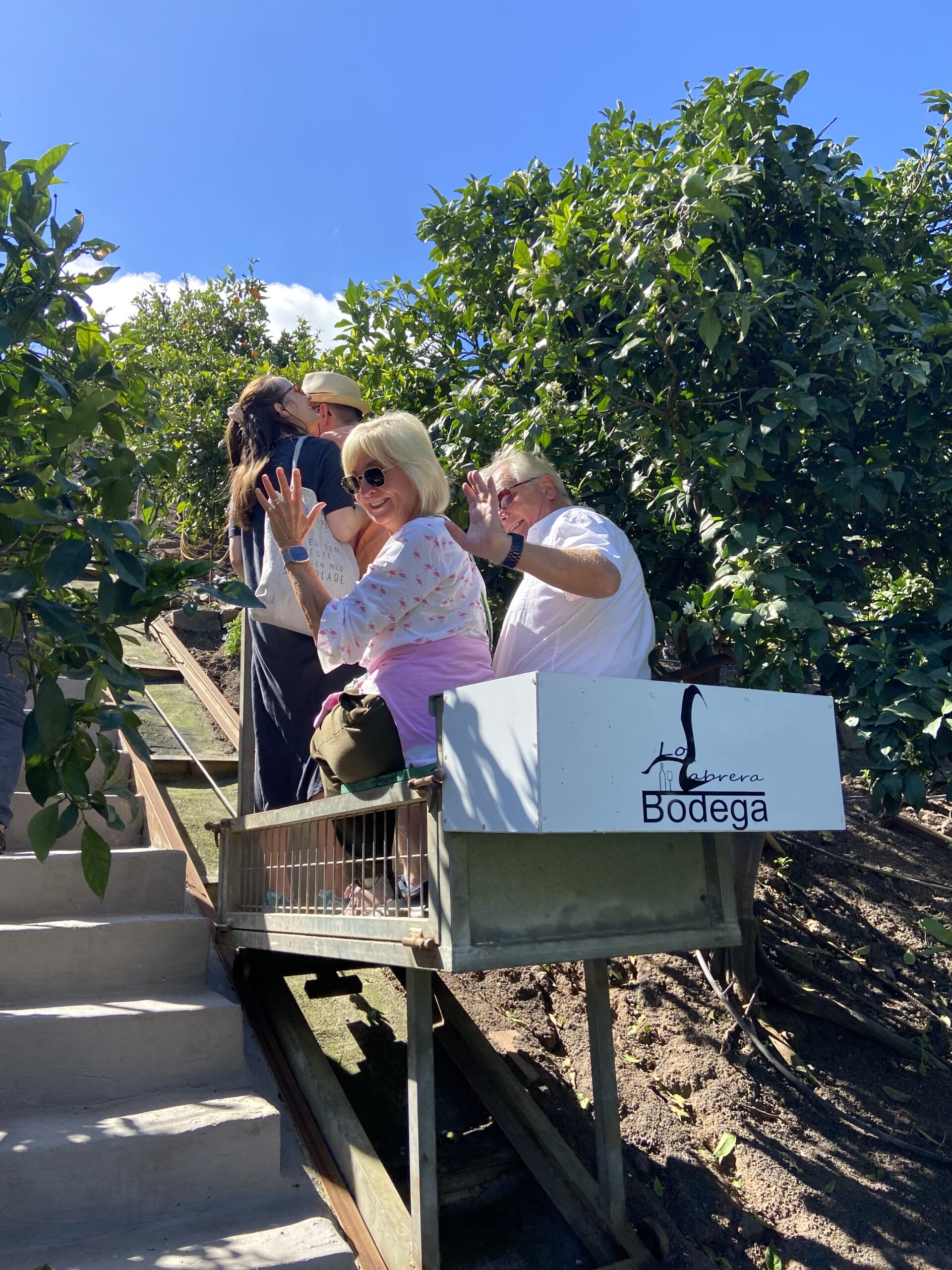 wine tasting in gran canaria