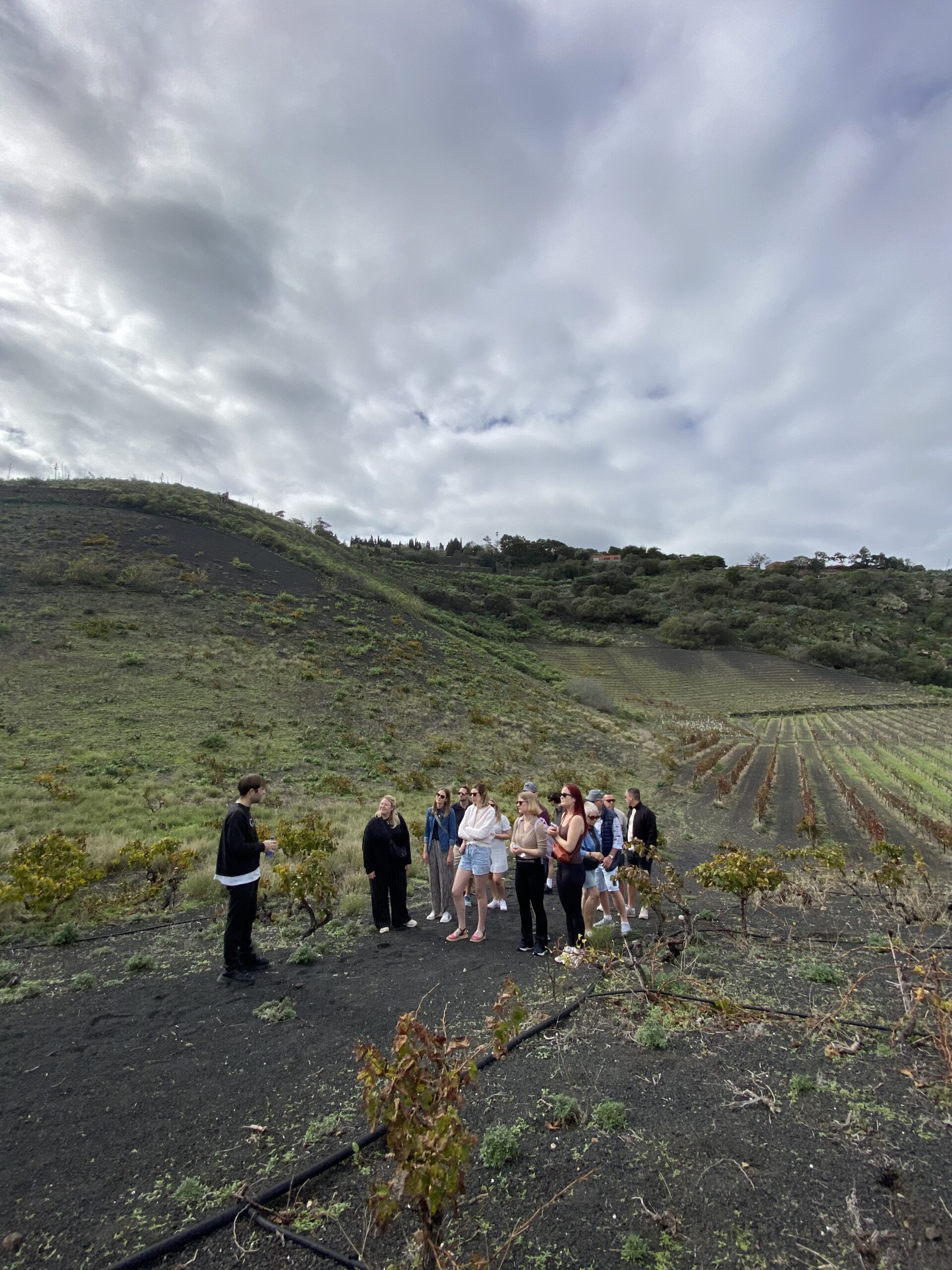 Vinsmaking i Gran Canaria