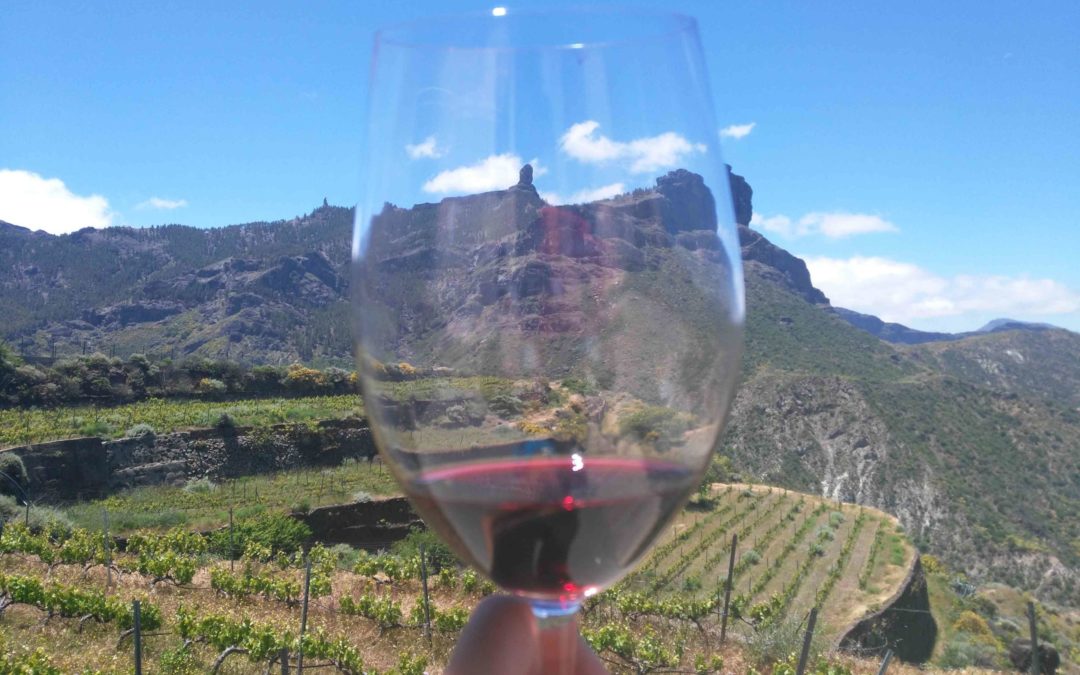 Best weather in Gran Canaria for a wine tour