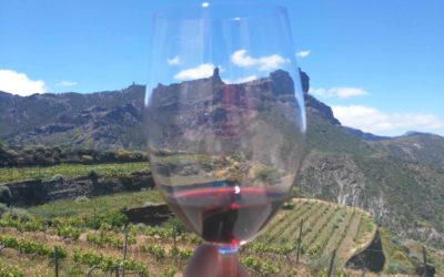 Best weather in Gran Canaria for a wine tour